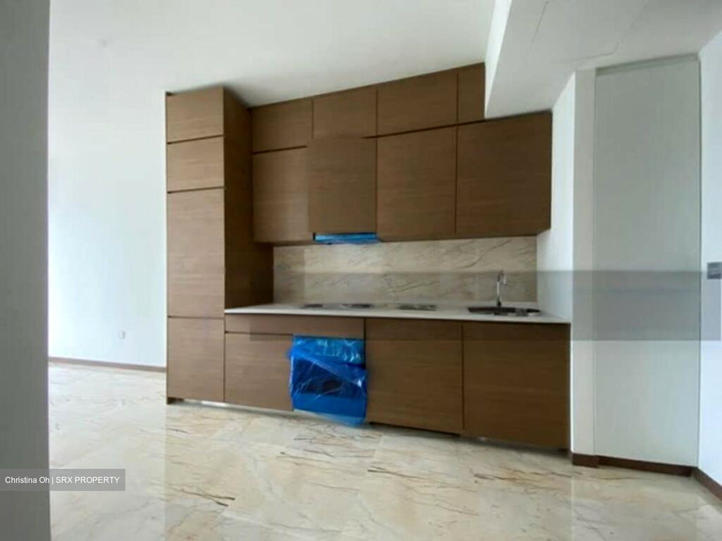 Queens Peak (D3), Condominium #478272401